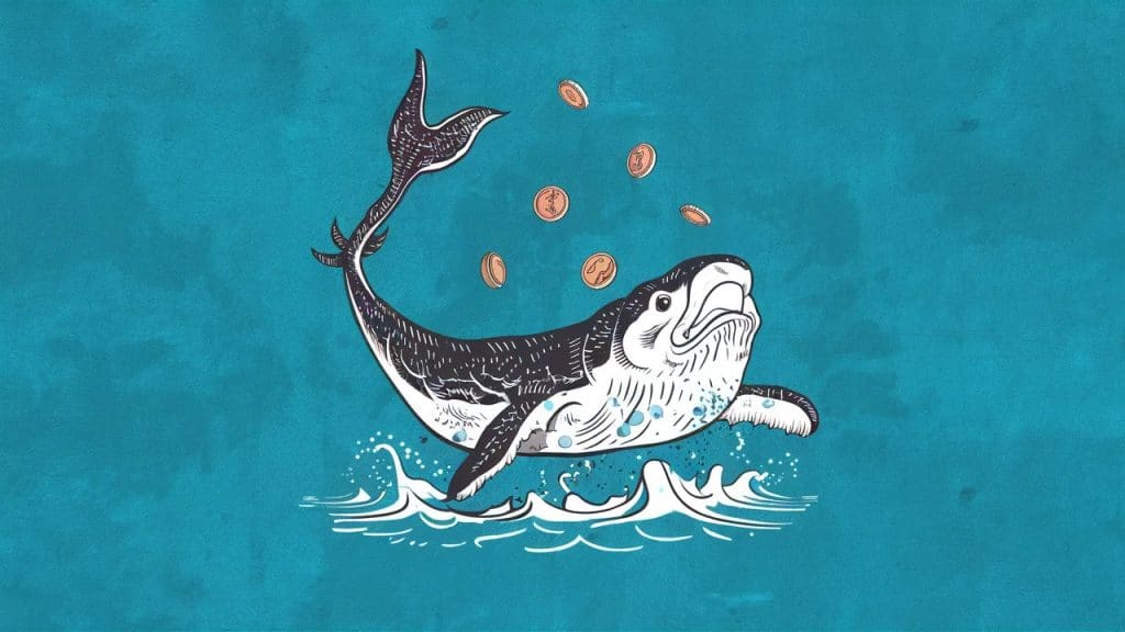 InfoCryptofr Le Prix de Quant Chute Suite à un Mouvement de Baleine