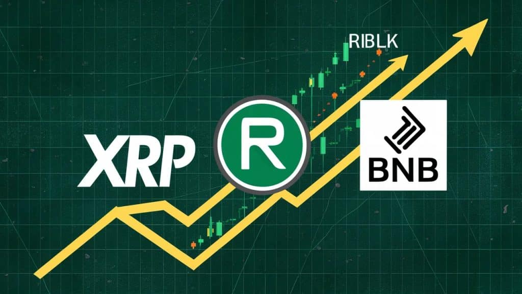 InfoCryptofr XRP RBLK en tête des gains de juillet BNB à la traîne