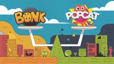 InfoCryptofr Bonk et Popcat Des Trajectoires Divergentes sur les Échanges