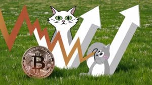 InfoCryptofr Memecoins BNB et SOL Résistants Malgré Chute Bitcoin