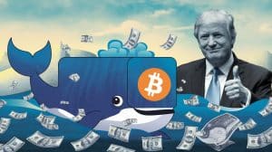 InfoCryptofr Donald Trump élu Deux baleines Bitcoin achètent pour 142 millions de dollars