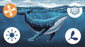 InfoCryptofr XRP et Cardano senvolent alors que les baleines misent sur ce nouveau jeton prometteur