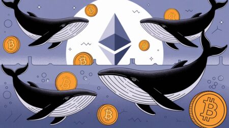 InfoCryptofr Bitcoin et Ethereum Aperçu du Comportement des Whales Avant 2025