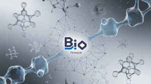 InfoCryptofr Bio Protocol sétend à Solana malgré le crash des prix