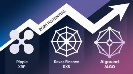 InfoCryptofr Ripple Rexas Finance Algorand 3 pépites crypto pour 2025