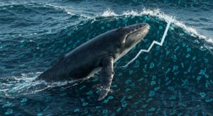 InfoCryptofr   Ratio Des Baleines BTC Sur Binance  Rebond Du Marché En Vue 