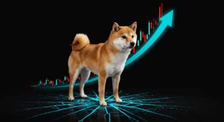 InfoCryptofr   Shiba Inu  Krach et Signaux de Rebond