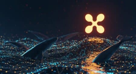 InfoCryptofr   XRP et Ripple  Hausse Surprise par les Baleines