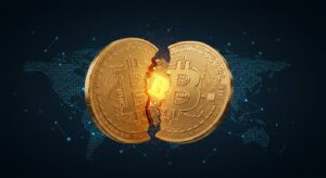 InfoCryptofr   Bitcoin  La Rareté Est Elle une Illusion 