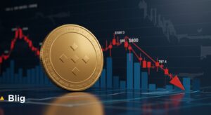 InfoCryptofr   BNB À Son Pic  Une Correction Imminente 