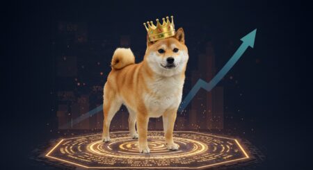 InfoCryptofr   Dogecoin Bondit de 47   Retour du Roi des Mème Coins 