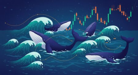 InfoCryptofr   Bitcoin à 115 000 $  Les Baleines Relancent elles le Marché 