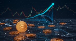 InfoCryptofr   Cardano Explosion Imminente ou Simple Mirage