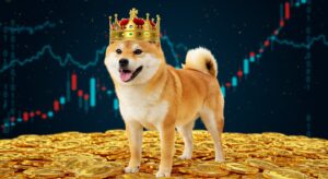 InfoCryptofr   Maxi Doge  2M$ Levés un 100x en Vue 