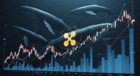 InfoCryptofr   XRP  Une Nouvelle Hausse Imminente 