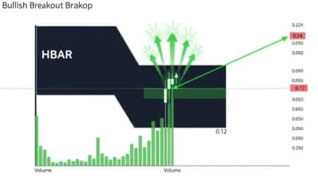 InfoCryptofr   HBAR Prix Bull Flag  Momentum Haussier