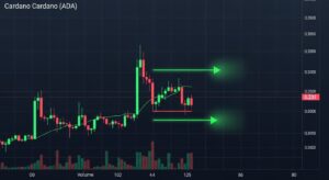 InfoCryptofr   Cardano se Stabilise à 033 $ avec Double Bottom